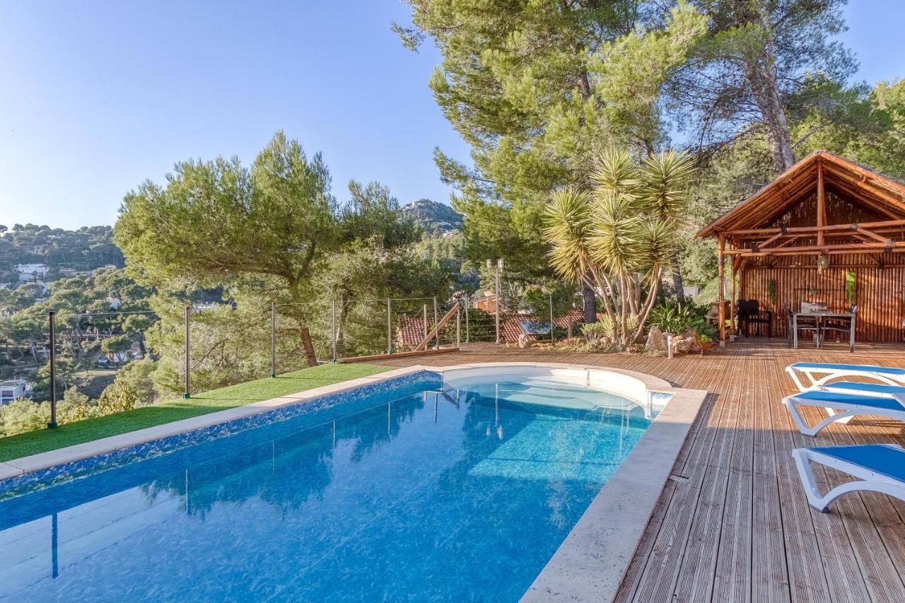 Beau T3 Au Mont Des Oiseaux Appartement Hyères